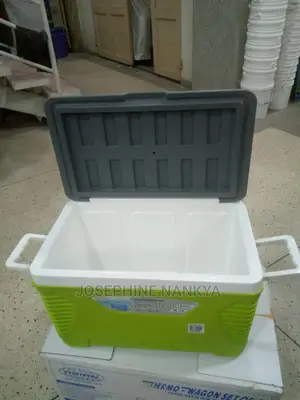 Ice Coolers Small , Green