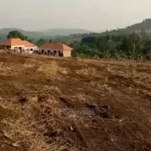 Bujjuko Town Plots at Give Away Prices With Power at Site