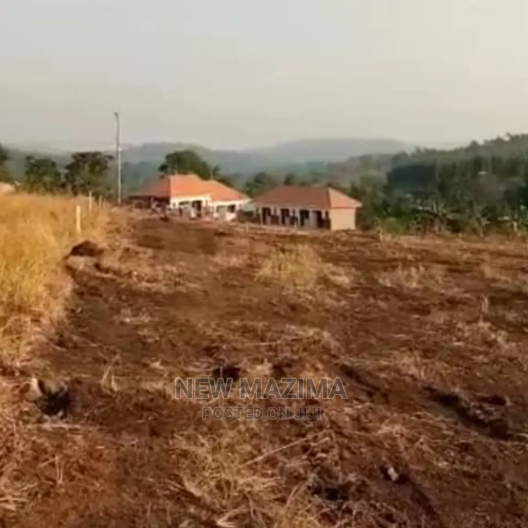 Bujjuko Town Plots at Give Away Prices With Power at Site