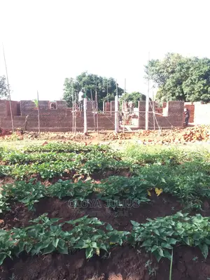 Building Construction