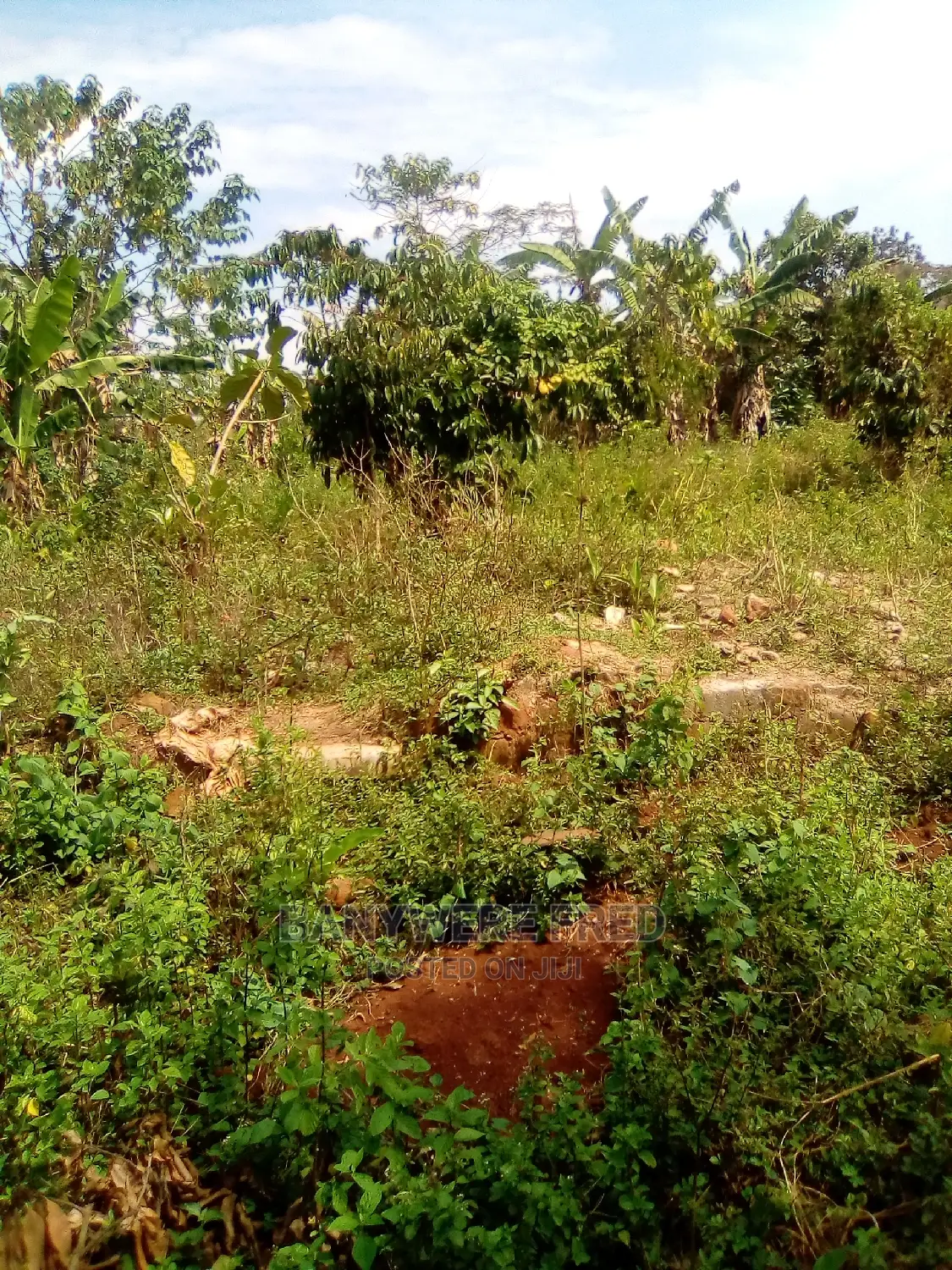 8 Acres for Sale in Ntenjeru