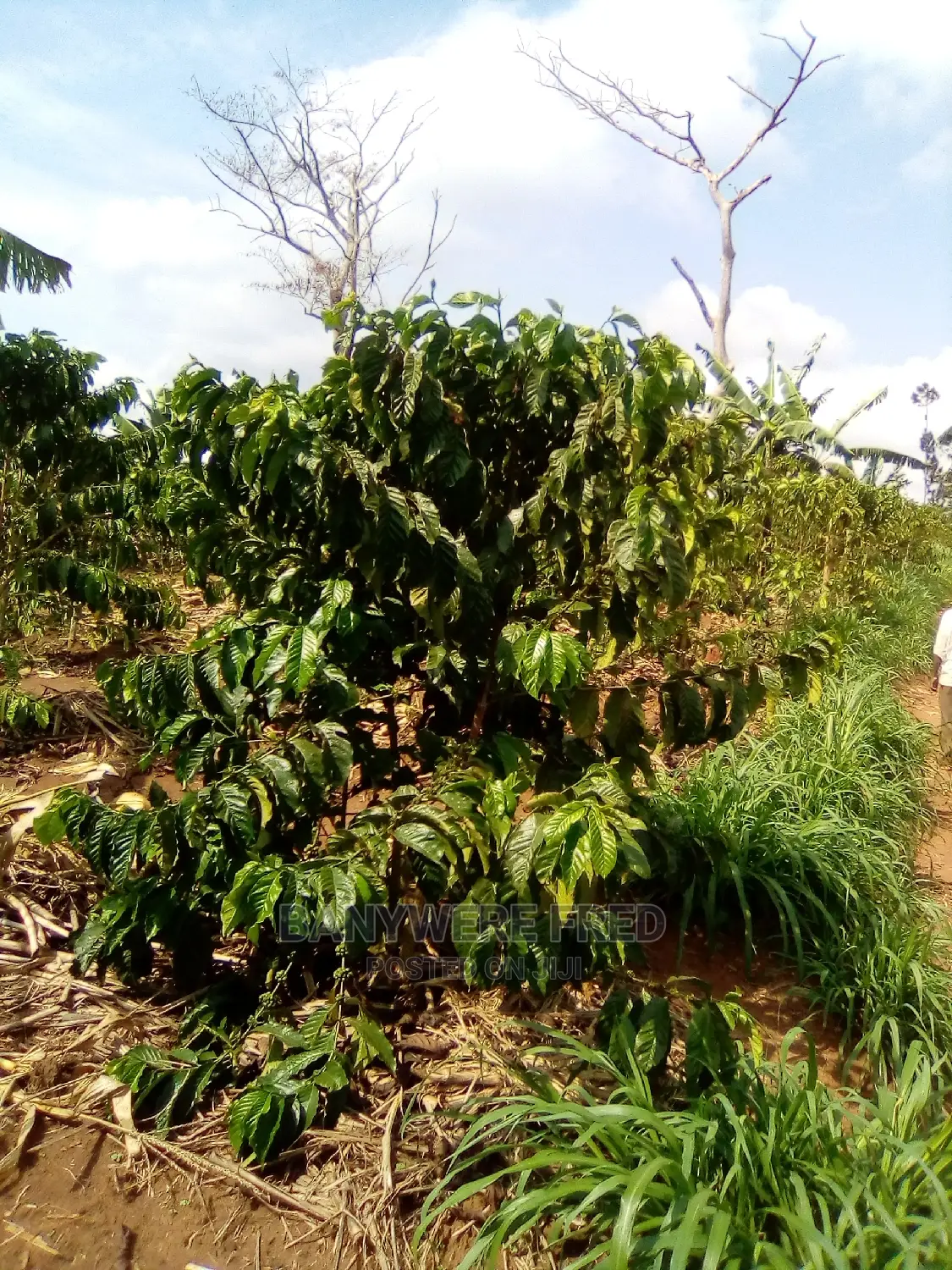 10acres of Farmland for Sale in Katonsi
