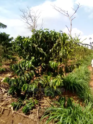 10acres of Farmland for Sale in Katonsi
