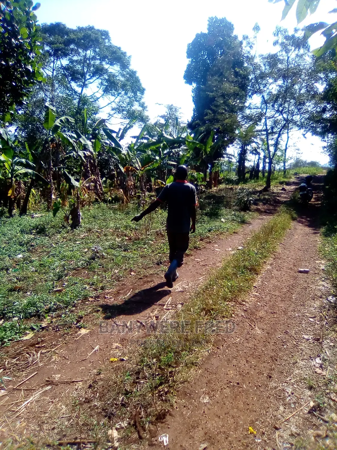 150/100 Plot for Sale in Kisoga