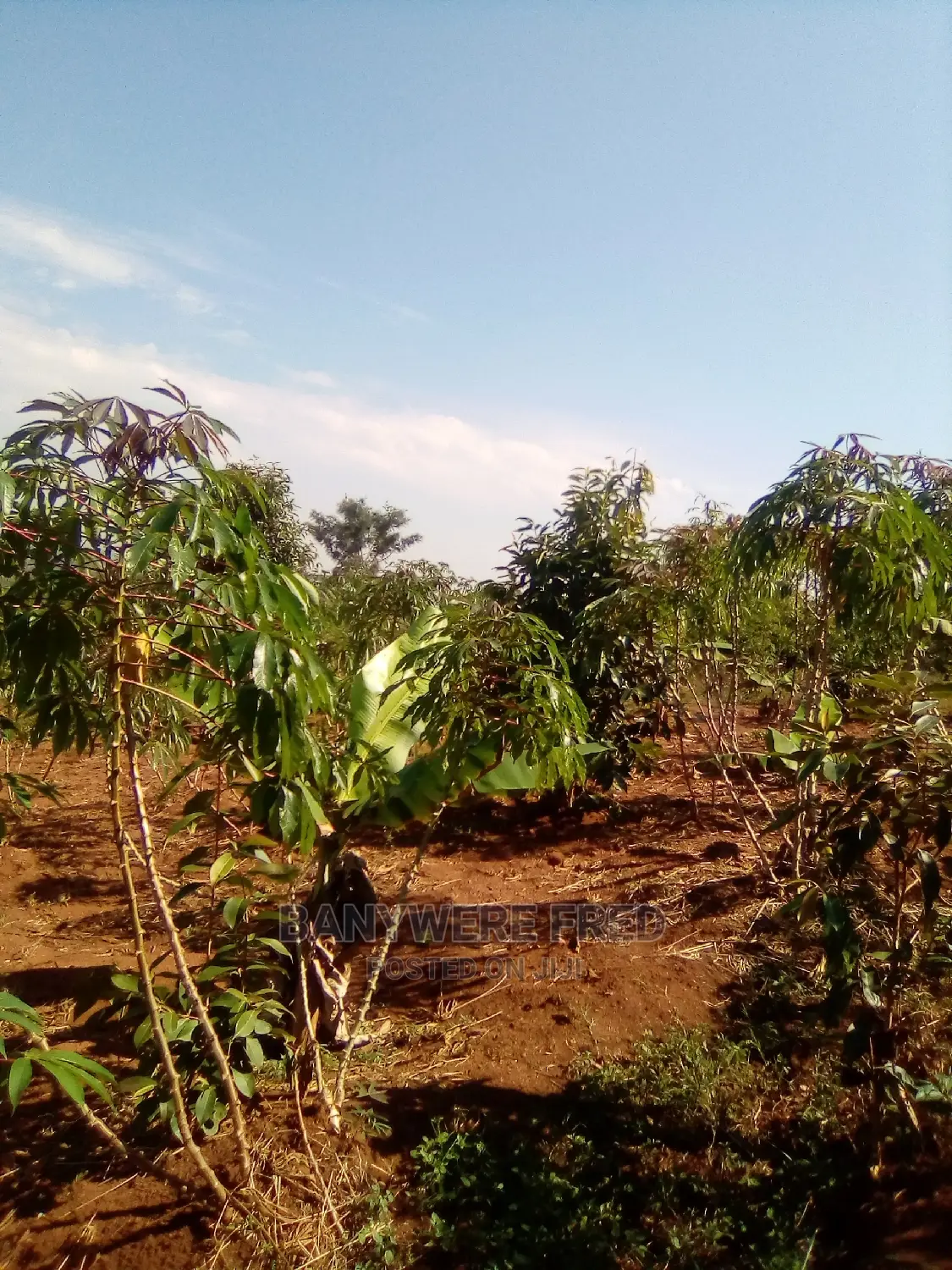 20 Acres of Industrial Land for Sale in Sugu