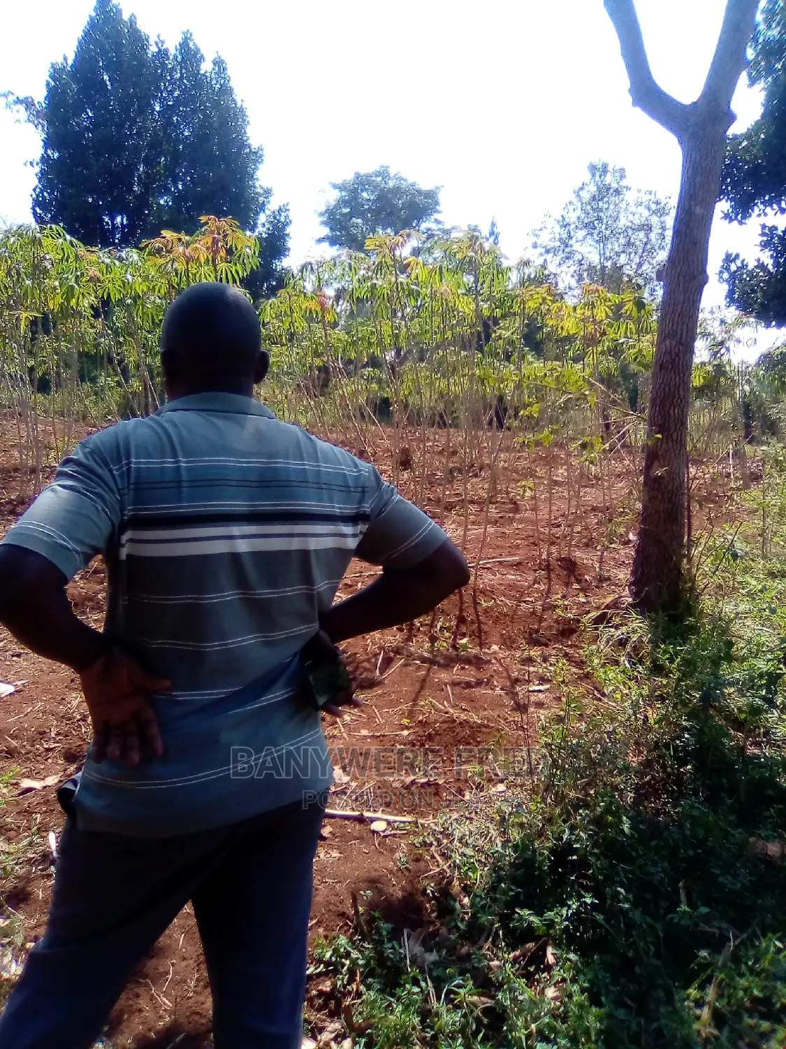 100/100 Plot for Sale in Ntenjeru