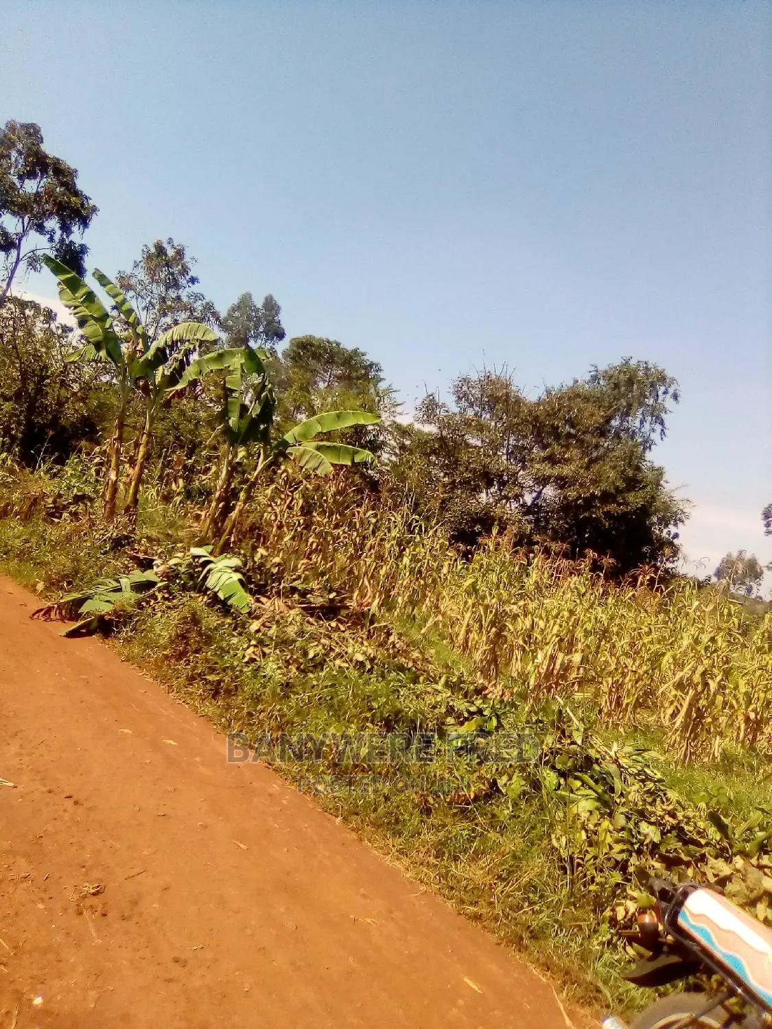 100/100 Plot for Sale in Ntunda