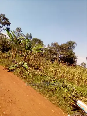 100/100 Plot for Sale in Ntunda