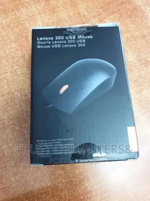 Lenovo Original 300 Usb Mouse