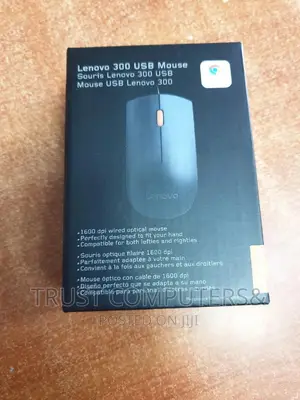 Lenovo Original 300 Usb Mouse
