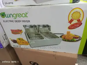 Wngreat Deep Fryer Electric