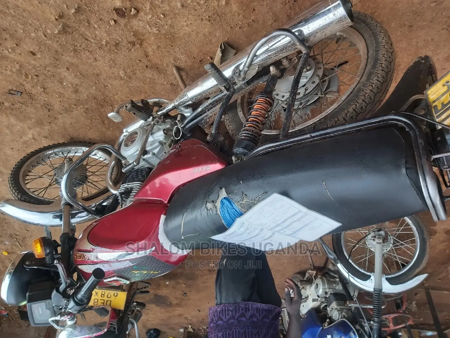 BSA Starfire 2019 Red
