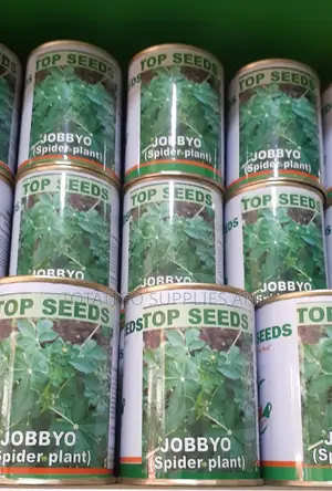 High Qualityjobbyo Seeds