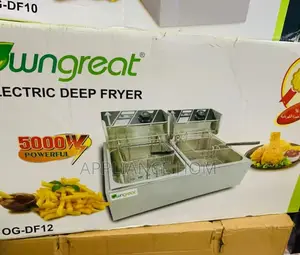 Photo - Deep Fryer 12L Chips Chicken Fryer