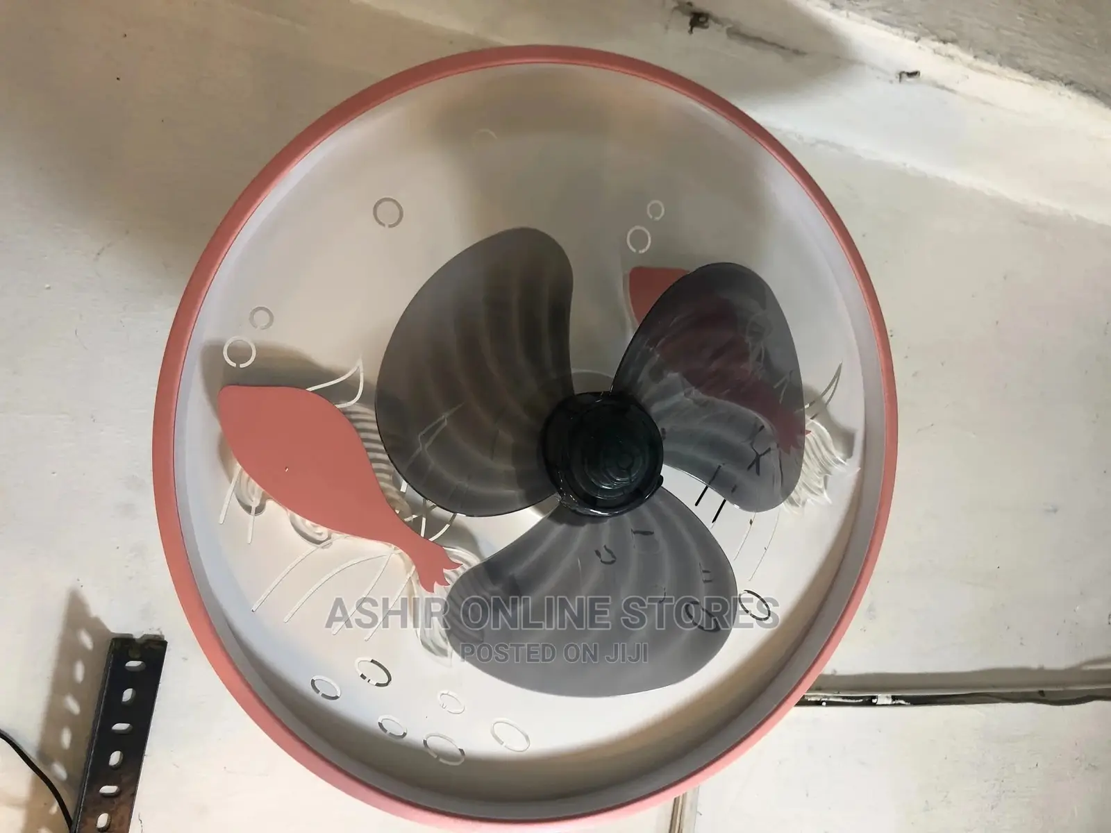 Ceiling Light With a Fan