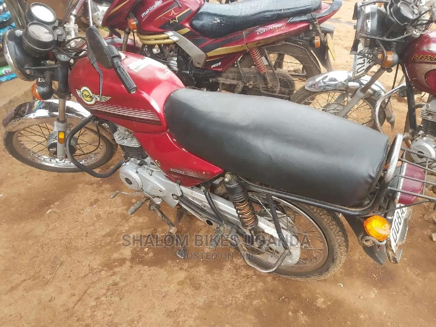 Denstar Taurus 2020 Red