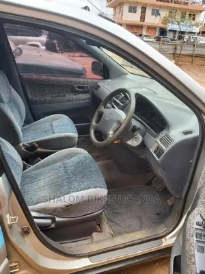 Toyota Ipsum 1999 Gray
