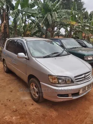 Toyota Ipsum 1999 Gray