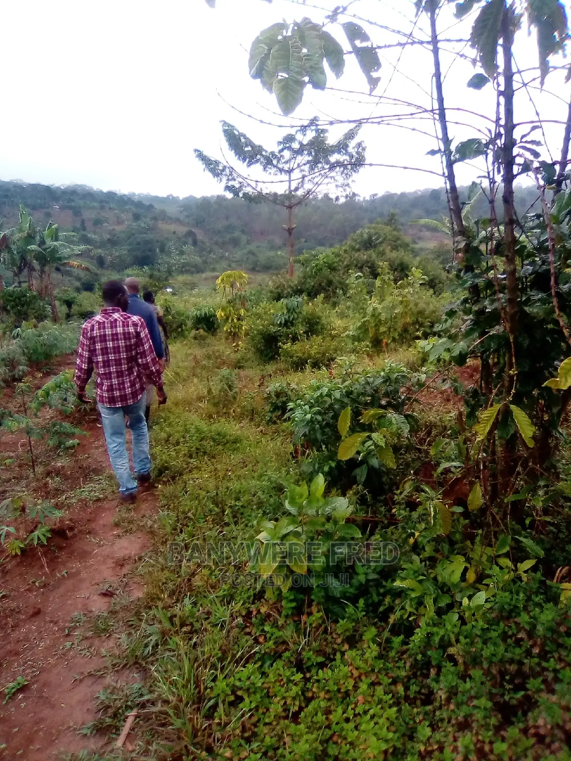 150/100 Plot for Sale in Nakifuma
