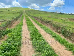 Plots for Sale at Kakiri~Simbamanyo Land Estate~Hoima Road.