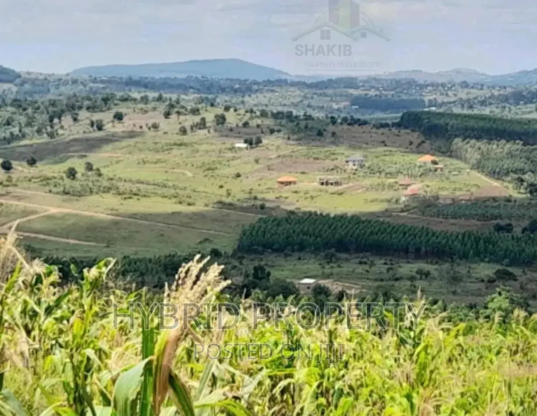 Plots for Sale at Kakiri~Simbamanyo Land Estate~Hoima Road.