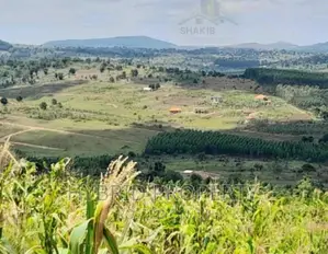 Plots for Sale at Kakiri~Simbamanyo Land Estate~Hoima Road.