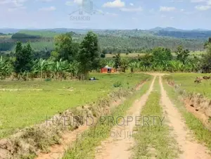 Plots for Sale at Kakiri~Simbamanyo Land Estate~Hoima Road.