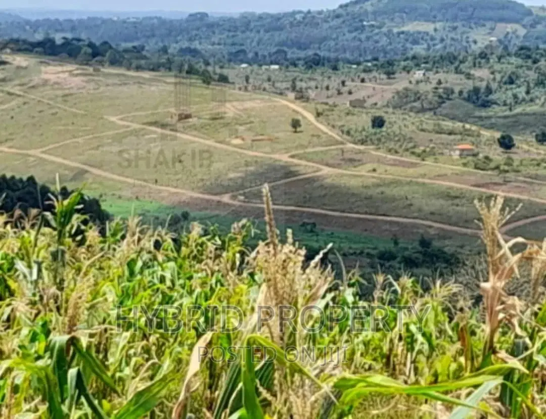 Plots for Sale at Kakiri~Simbamanyo Land Estate~Hoima Road.