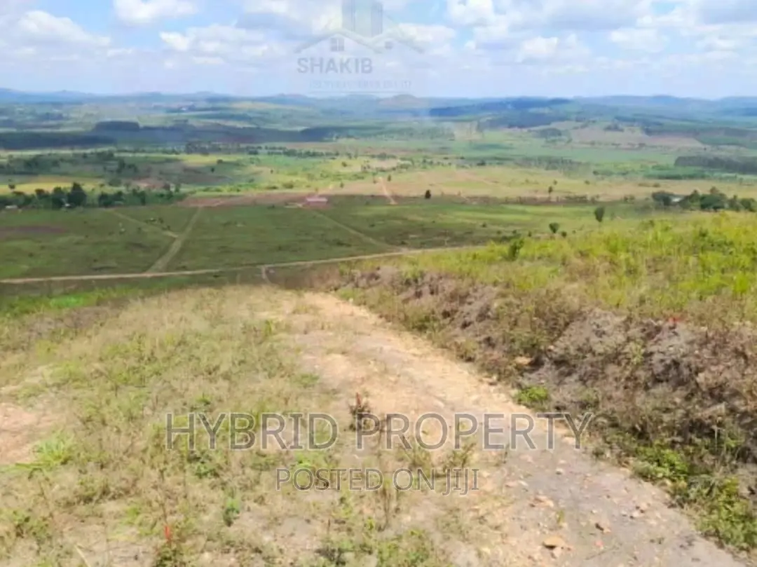 Plots for Sale at Kakiri~Simbamanyo Land Estate~Hoima Road.