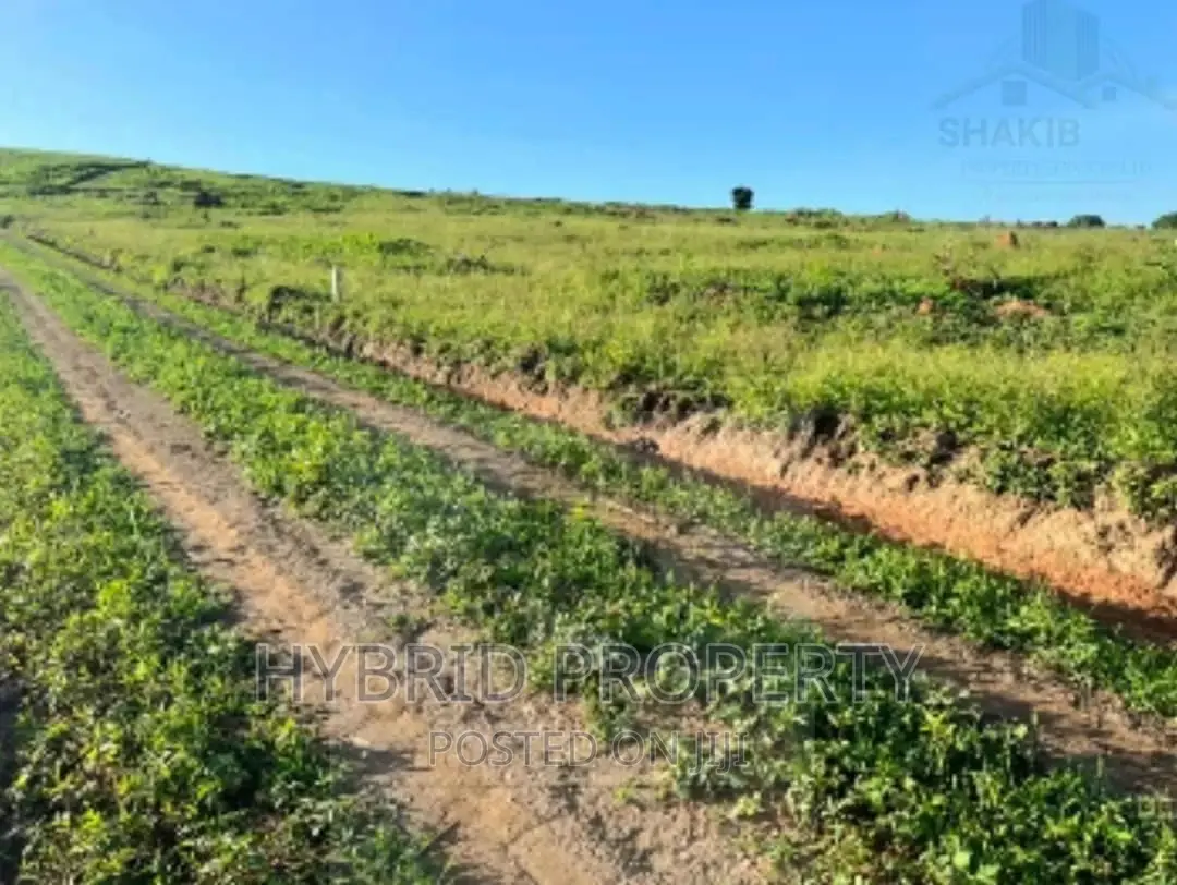 Plots for Sale at Kakiri~Simbamanyo Land Estate~Hoima Road.