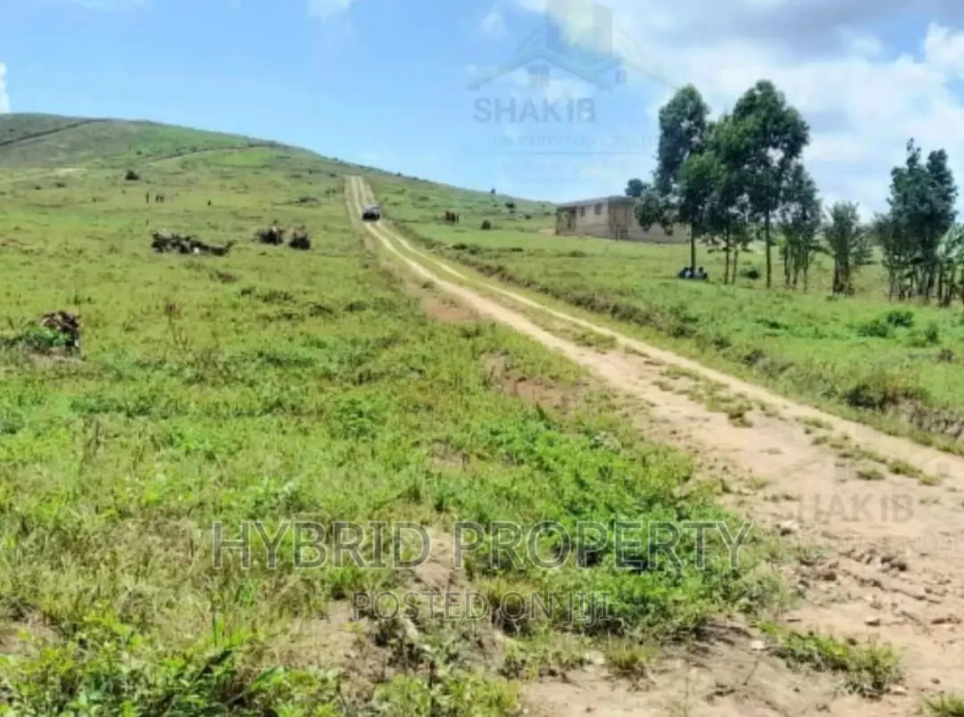 Plots for Sale at Kakiri~Simbamanyo Land Estate~Hoima Road.