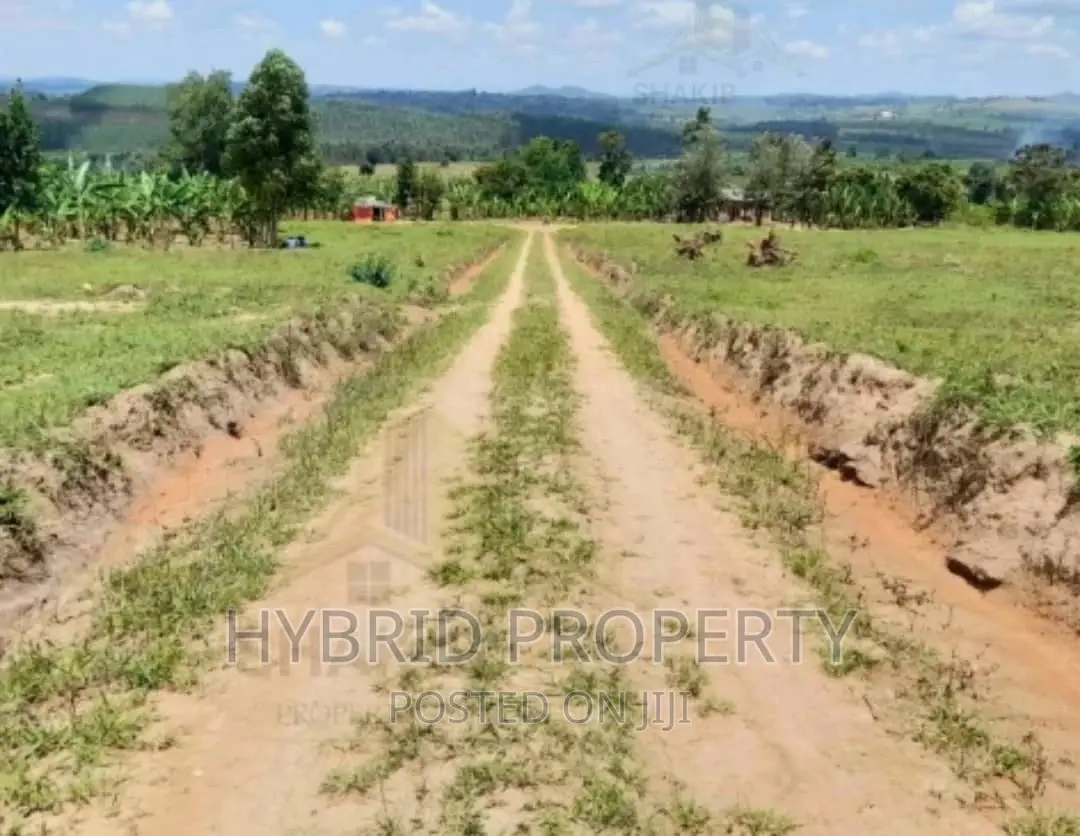 Plots for Sale at Kakiri~Simbamanyo Land Estate~Hoima Road.
