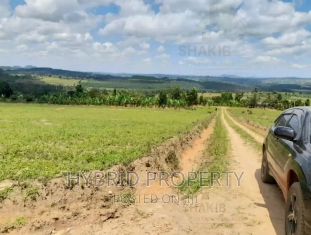 Plots for Sale at Kakiri~Simbamanyo Land Estate~Hoima Road.