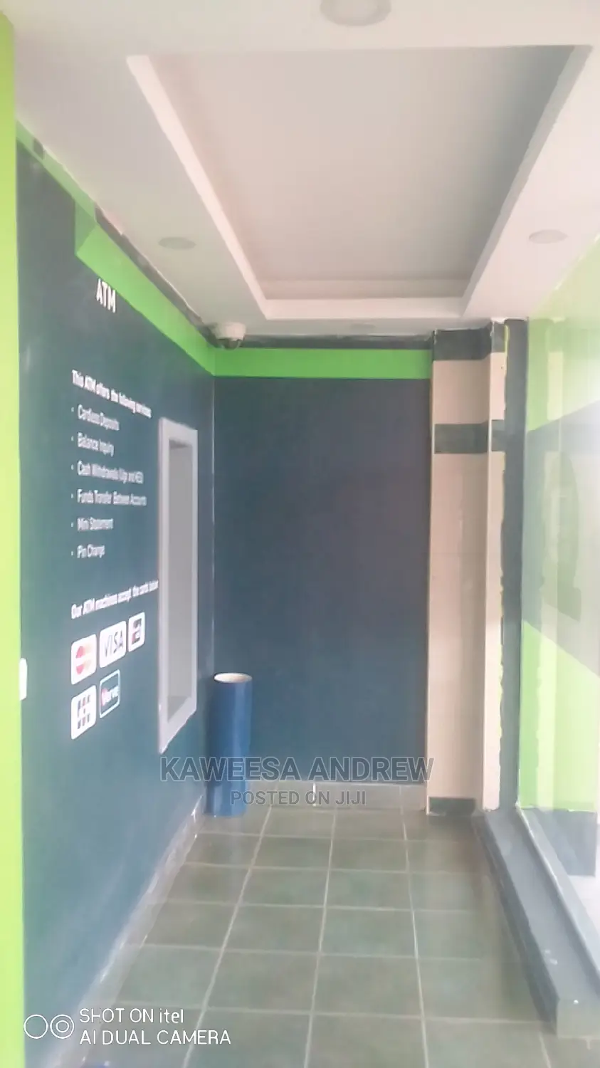 Gypsum and Suspended Ceiling