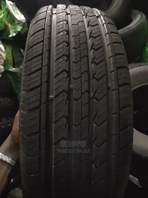 225/60r17 Mont PRO