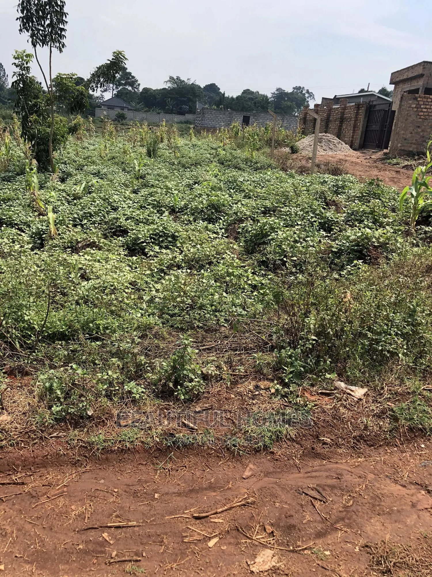 Nakwero Hot Plot Near the Tarmack on Sell