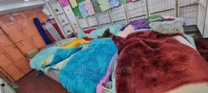Soft Carpets