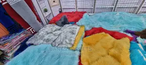 Soft Carpets