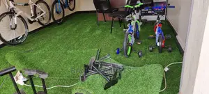 Artificial Grass
