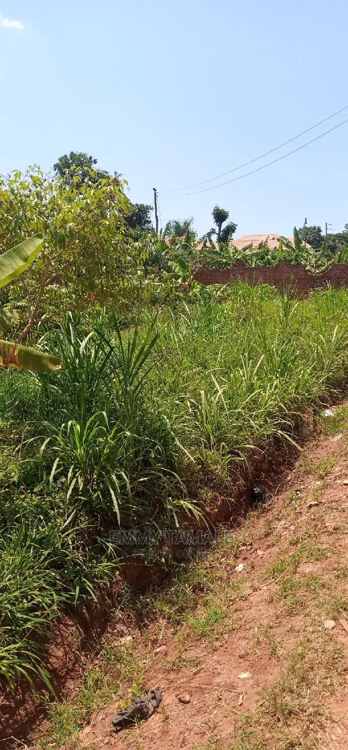 Land and Plots for Sale