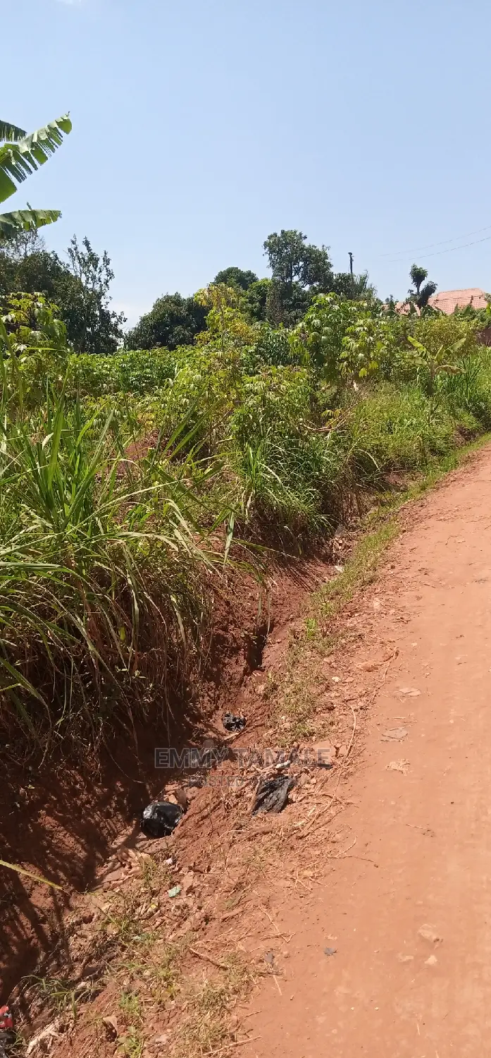 Land and Plots for Sale
