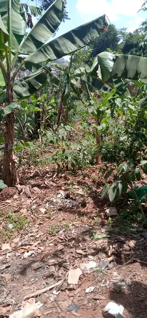 Land and Plots for Sale