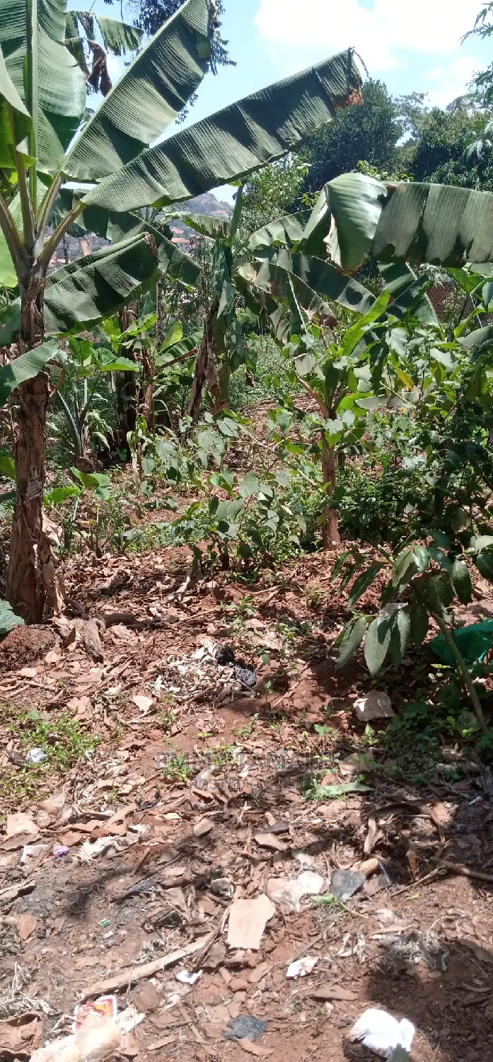 Land and Plots for Sale