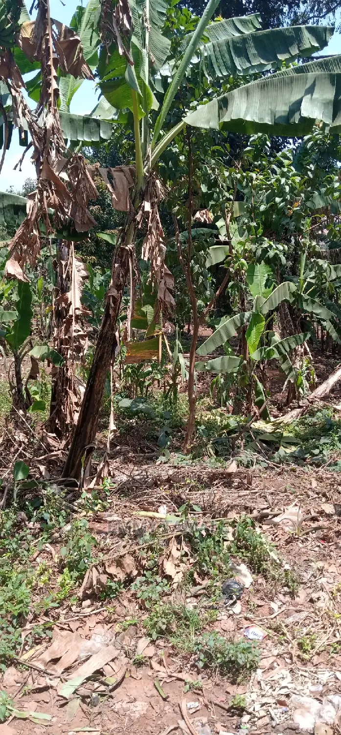 Land and Plots for Sale