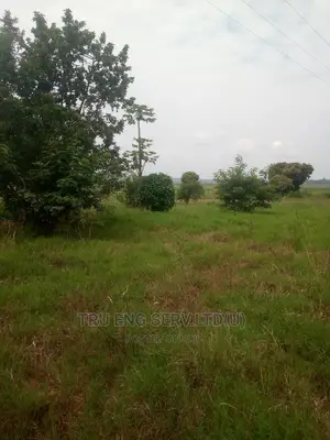 500 Acres With Land Title for Sale