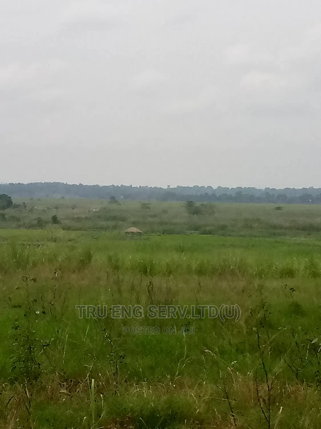 500 Acres With Land Title for Sale