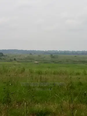 500 Acres With Land Title for Sale
