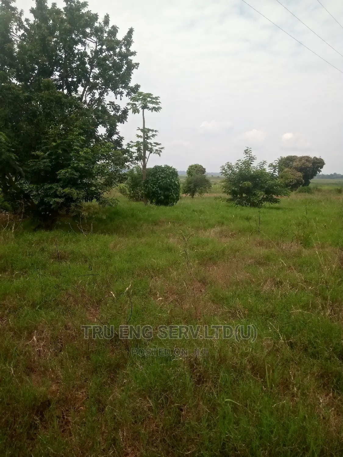 500 Acres With Land Title for Sale