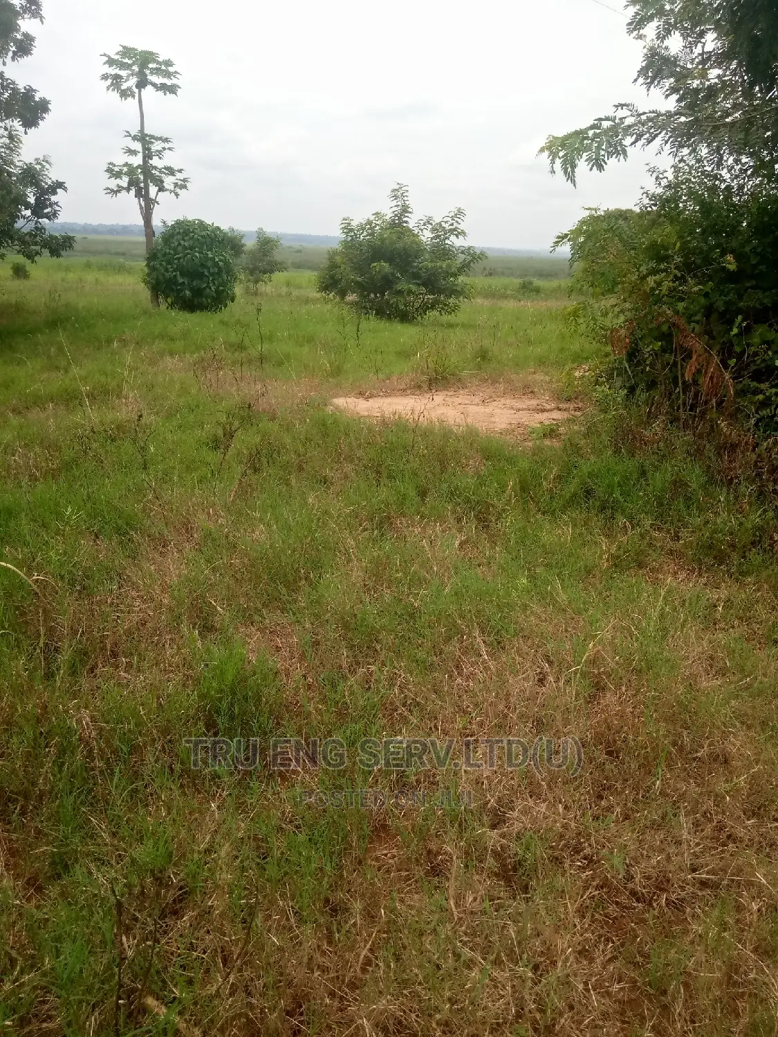 500 Acres With Land Title for Sale