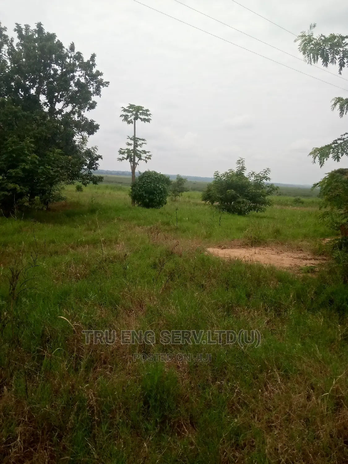500 Acres With Land Title for Sale